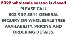 2022 wholesale season is closed PLEASE CALL 503-939-5511 GENERAL INQUIRY ON WHOLESALE TREE AVAILABILITY, PRICING AND ORDERING DETAILS.