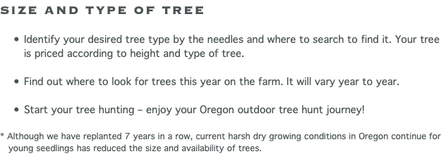 SIZE AND TYPE OF TREE Identify your desired tree type by the needles and where to search to find it. Your tree is priced according to height and type of tree. Find out where to look for trees this year on the farm. It will vary year to year. Start your tree hunting – enjoy your Oregon outdoor tree hunt journey! * Although we have replanted 7 years in a row, current harsh dry growing conditions in Oregon continue for  young seedlings has reduced the size and availability of trees. 