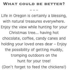 What could be better? – – – Life in Oregon is certainly a blessing, with natural treasures everywhere. Enjoy the view while hunting for your Christmas tree... having hot chocolate, coffee, candy canes and holding your loved ones dear – Enjoy the possibility of getting muddy, tromping outdoors on the hunt for your tree! (Don't forget to feed the chickens!)