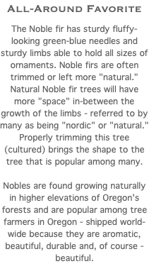 All-Around Favorite The Noble fir has sturdy fluffy- looking green-blue needles and sturdy limbs able to hold all sizes of ornaments. Noble firs are often trimmed or left more "natural." Natural Noble fir trees will have more "space" in-between the growth of the limbs - referred to by many as being "nordic" or "natural." Properly trimming this tree (cultured) brings the shape to the tree that is popular among many. Nobles are found growing naturally in higher elevations of Oregon's forests and are popular among tree farmers in Oregon - shipped world-wide because they are aromatic, beautiful, durable and, of course - beautiful. 