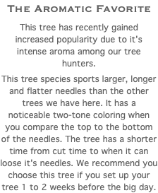 The Aromatic Favorite This tree has recently gained increased popularity due to it's intense aroma among our tree hunters. This tree species sports larger, longer and flatter needles than the other trees we have here. It has a noticeable two-tone coloring when you compare the top to the bottom of the needles. The tree has a shorter time from cut time to when it can loose it's needles. We recommend you choose this tree if you set up your tree 1 to 2 weeks before the big day. 