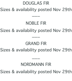 DOUGLAS FIR Sizes & availability posted Nov 29th ___ NOBLE FIR Sizes & availability posted Nov 29th ___ GRAND FIR Sizes & availability posted Nov 29th ___ NORDMANN FIR Sizes & availability posted Nov 29th 